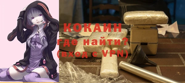 молекула духа Новозыбков