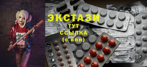 молекула духа Новозыбков