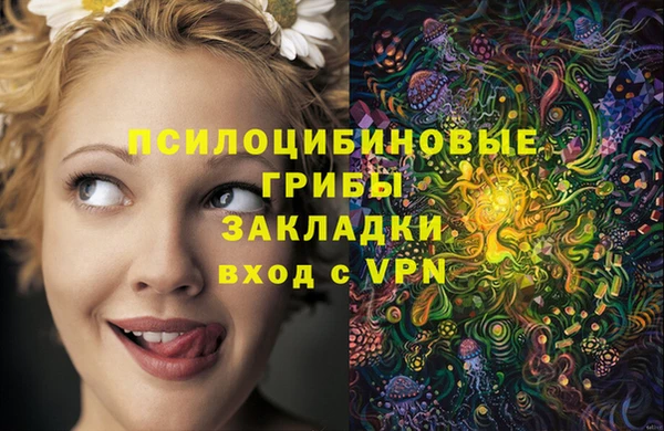 молекула духа Новокубанск