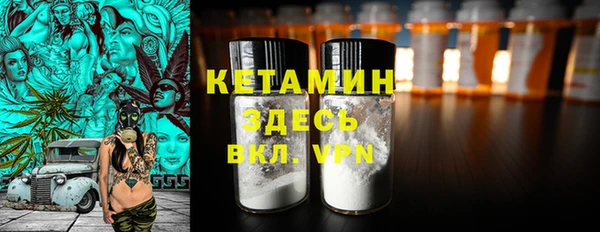 молекула духа Новозыбков