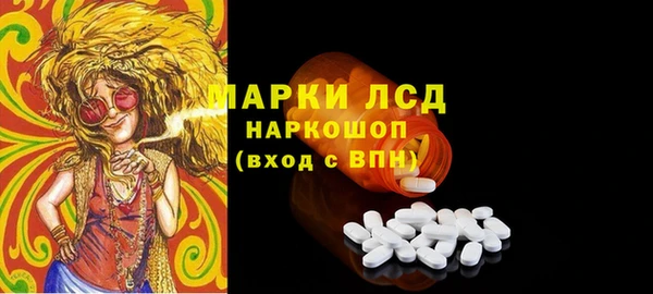 молекула духа Новозыбков