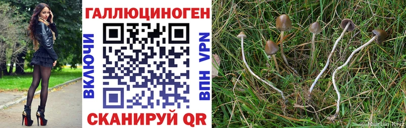 Галлюциногенные грибы мухоморы  Ковылкино 
