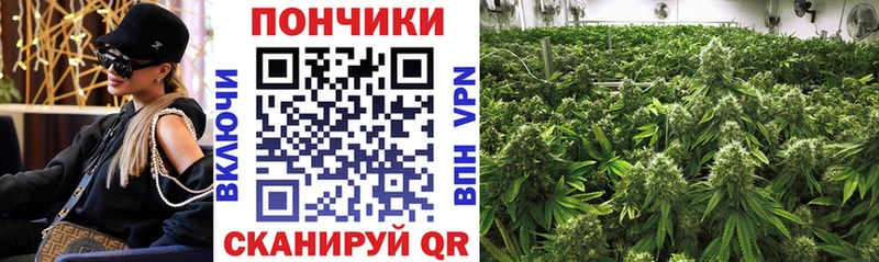 МАРИХУАНА SATIVA & INDICA  где продают   Ковылкино 